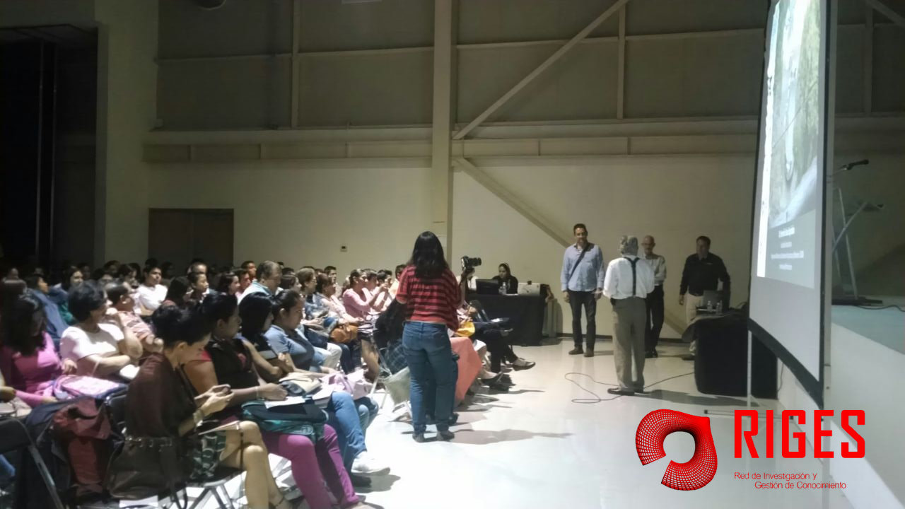 RIGES Galería 12